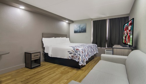 Superior Room, 1 King Bed, Non Smoking (Hypoallergenic)