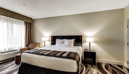 Premium Suite, 1 Bedroom, Non Smoking