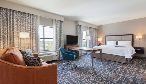 Studio, 1 King Bed, Accessible (Roll In Shower)