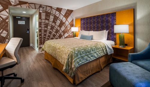 Standard Room, 1 King Bed, Non Smoking (Shower Only;with Sofabed)