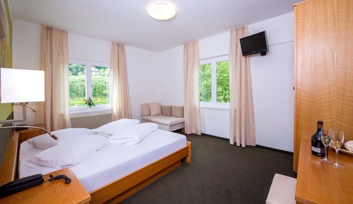 Comfort Double Room, 1 Double Bed