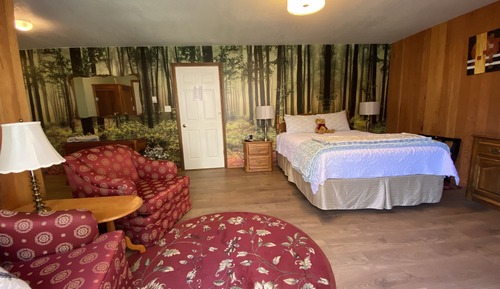 Room, 1 Queen Bed