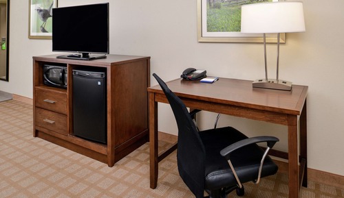 Room, 1 King Bed with Sofa bed, Refrigerator & Microwave