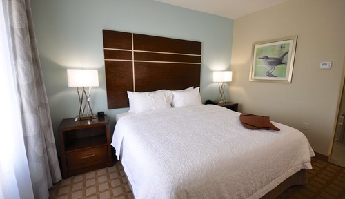 Room, 1 King Bed, Accessible, Bathtub