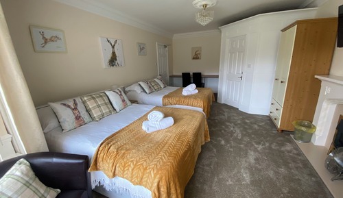 Room (A1 Family Room)