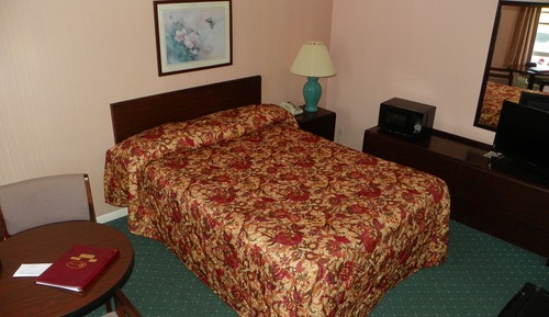 Room, 1 Queen Bed