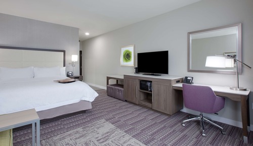 Room, 1 King Bed, Accessible (Roll In Shower )