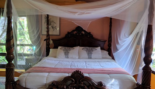 Hawaiian Suite
