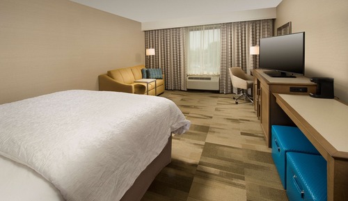 Room, 1 King Bed with Sofa bed, Refrigerator
