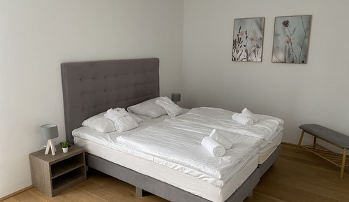 Deluxe Apartment, 3 Bedrooms (BV4.1 / Excl. 215 EUR cleaning fee)