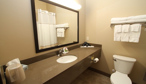 Standard Room, 1 King Bed, Refrigerator & Microwave (Pet Friendly)