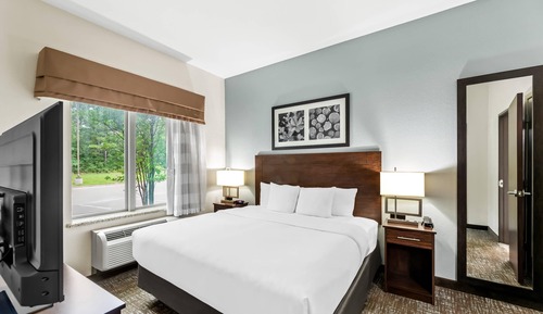 Suite, 1 King Bed, Accessible, Non Smoking (Efficiency)