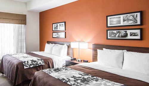Standard Room, 2 Queen Beds