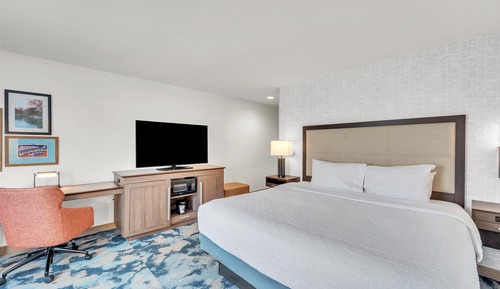 Room, 1 King Bed, Non Smoking, Refrigerator & Microwave