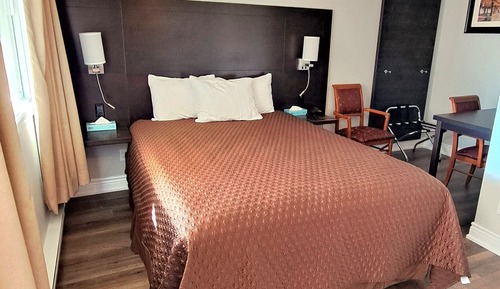 Room, 1 Queen Bed