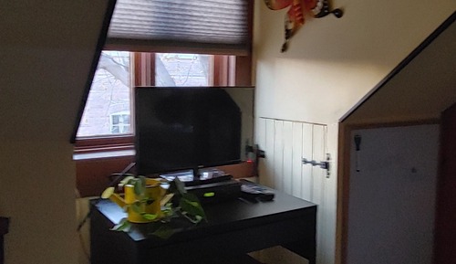Basic Single Room, 1 Double Bed, Shared Bathroom, Park View