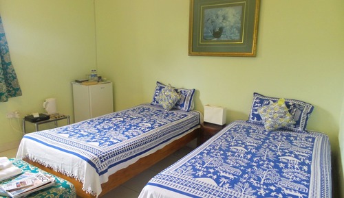 Deluxe Double or Twin Room