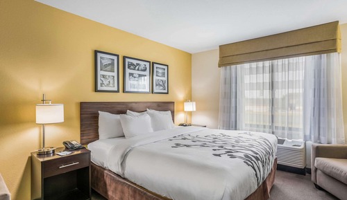 Suite, 1 King Bed with Sofa bed
