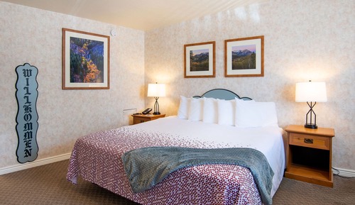 Room, 1 King Bed