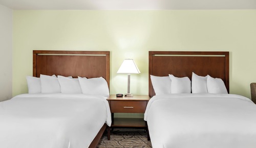 Deluxe Suite, 1 Queen Bed with Sofa bed, Roll-in Shower