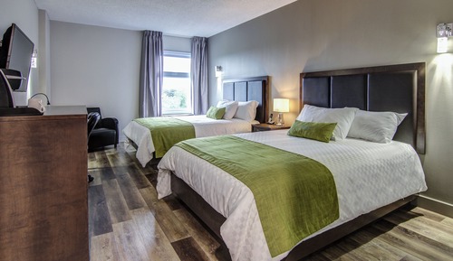 Standard Room, 2 Queen Beds
