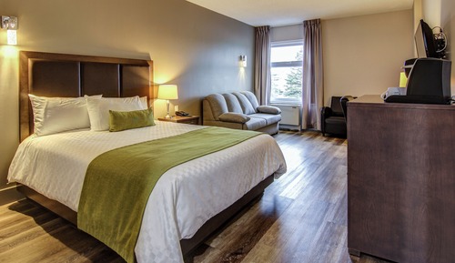 Standard Room, 1 Queen Bed with Sofa bed