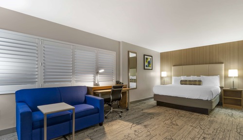 Standard Room, 1 King Bed, Non Smoking, Patio (with Sofabed)