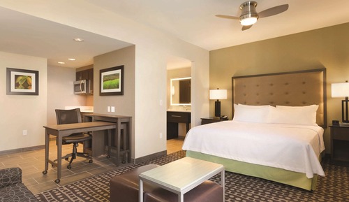 Studio Suite, 1 King Bed