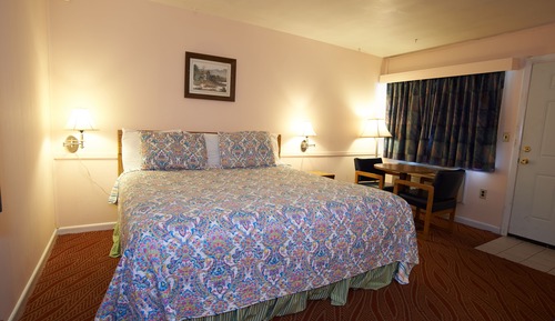 Room, 1 King Bed