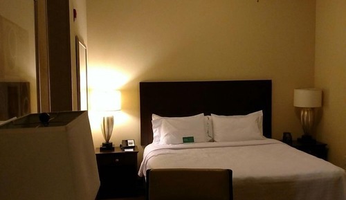 Studio, 1 King Bed with Sofa bed