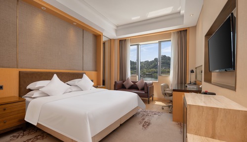 Premier Double Room, Balcony, Garden View