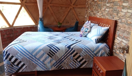 Comfort Single Room, Mountain View