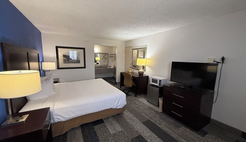 Single Room, 1 King Bed
