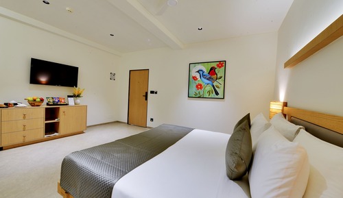 Winter Green Premium Room, 1 King Bed