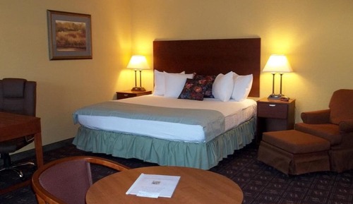 Business Suite, 1 King Bed, Air conditioning