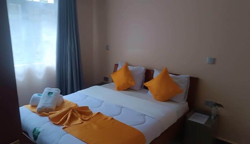 Standard Single Room, Garden View