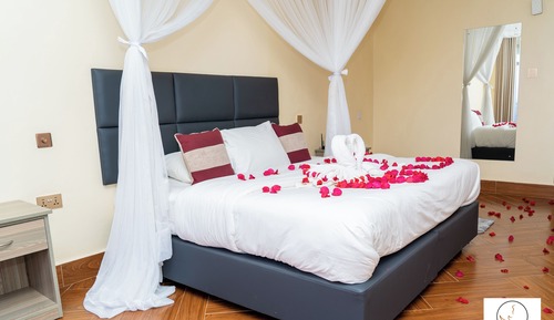 Superior Single Room