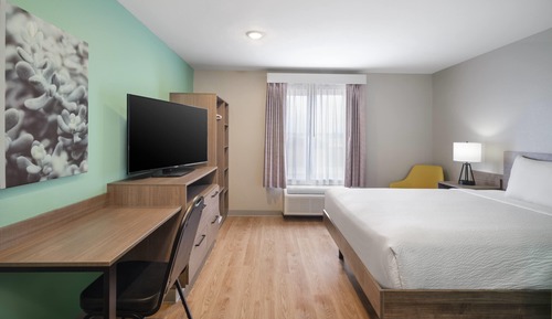 Room, 1 Queen Bed, Mobility Accessible, Non Smoking (Bathtub W/grab Bars)