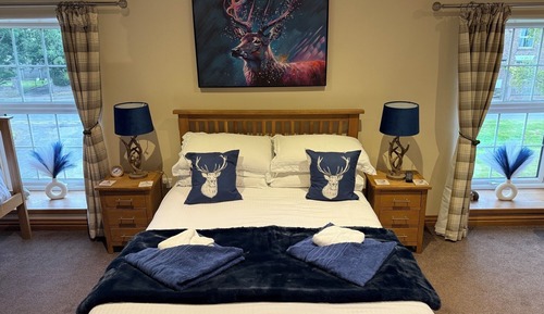 Family Double Room, Pets Allowed