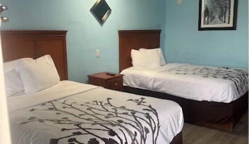 Studio, 2 Queen Beds, Non Smoking