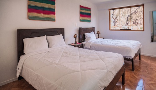 Basic Twin Room, Garden View