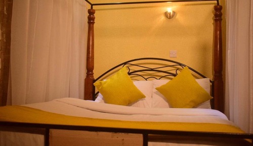 Standard Single Room, Garden View