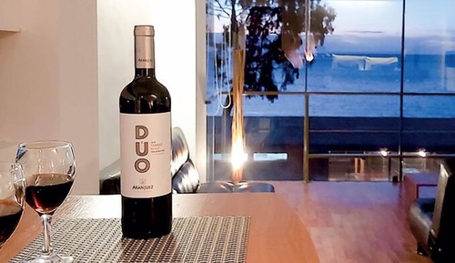 Standard Suite, Lake View