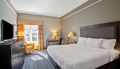 Standard Room, 1 Queen Bed, Mobility Accessible, Non Smoking