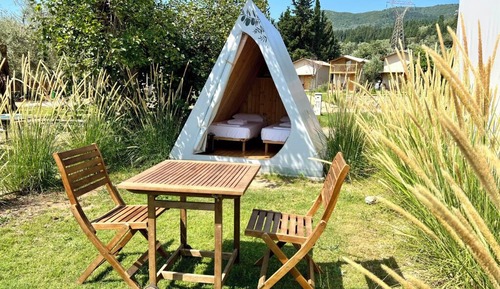 Junior Cabin