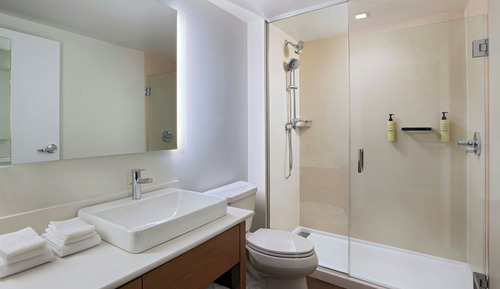 Studio, 1 King Bed with Sofa bed