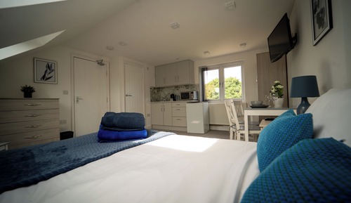 Superior Studio Suite, Patio, Garden View
