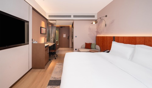 Room, 1 King Bed