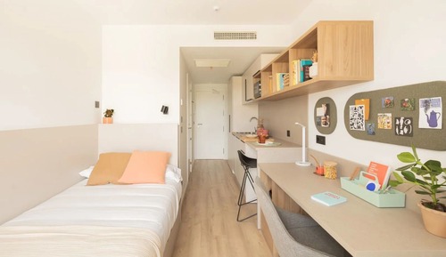 Deluxe Single Room, Non Smoking