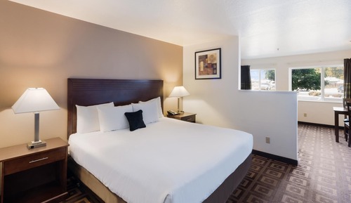 Suite, 1 King Bed with Sofa bed, Non Smoking
